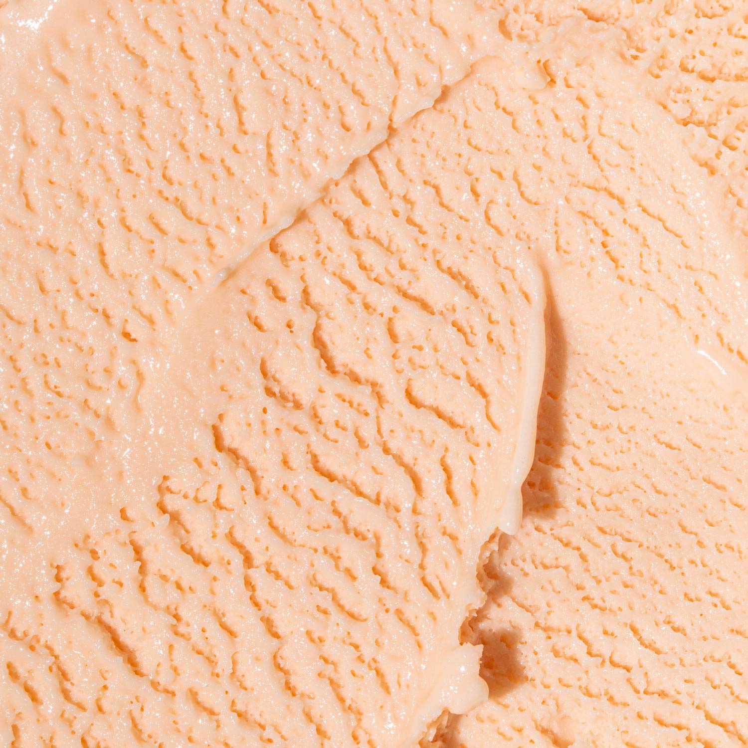 Cosmic Bloom - Image 2